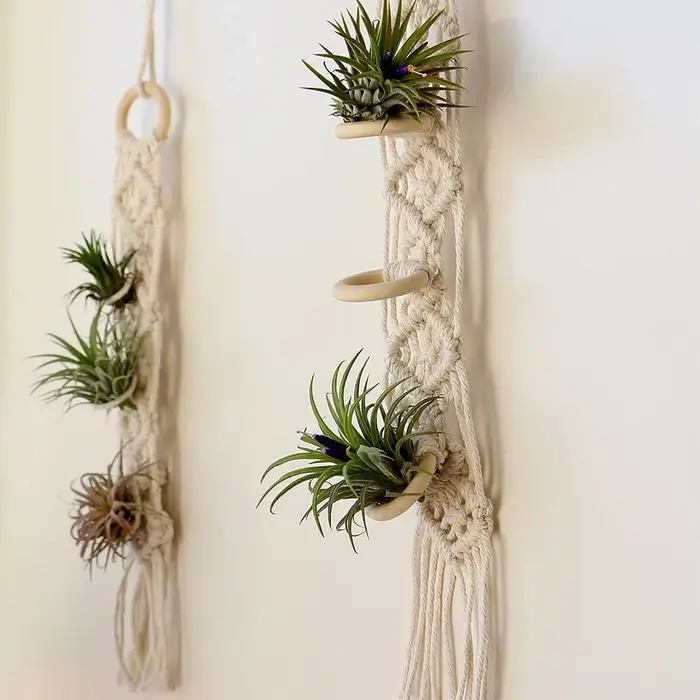 Porte-plantes en macramé pour salon intérieur