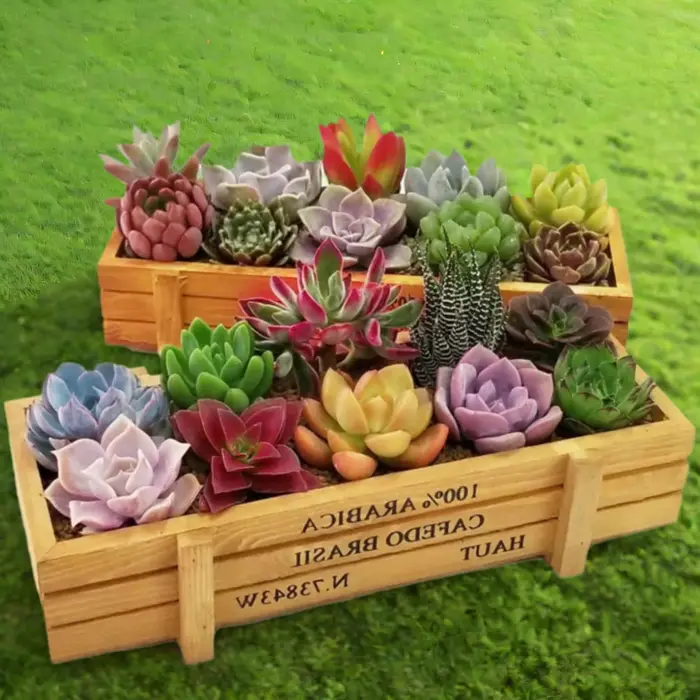 Pots décoratifs pour jardinière