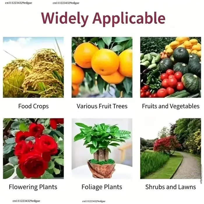 6-BA 6-Benzylaminopurine Cytokinine en poudre, régulateur de croissance des plantes, favorise la germination et la division cellulaire