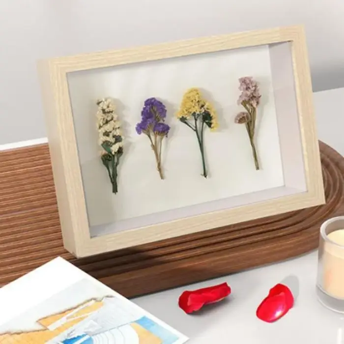 Boîte de rangement en bois pour spécimen d'ombre de fleur de noix de coco, affichage de photo profon