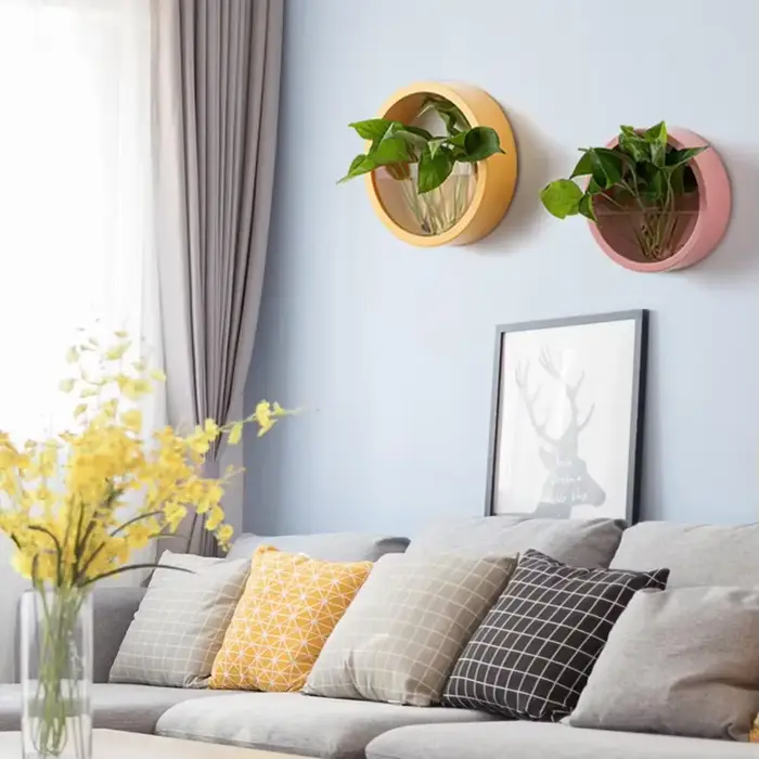 Jardinière succulente ronde