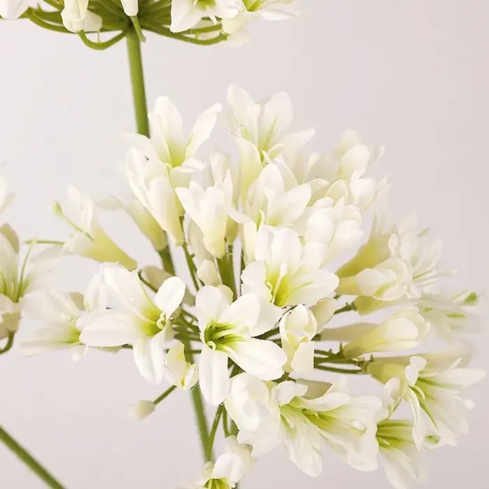 Nouvelle branche de fleurs d'agapanthus artificielles de 75 cm de long