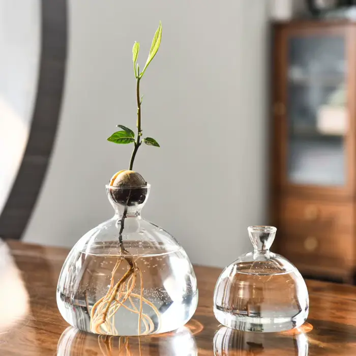 Kit de plantes en verre avec autocollants pour les amateurs de jardinage
