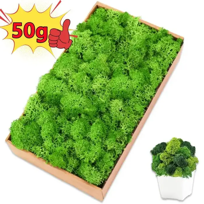 Plantes vertes artificielles 50/30/10g
