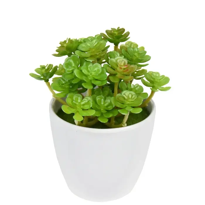 12 pièces de plantes succulentes artificielles en plastique
