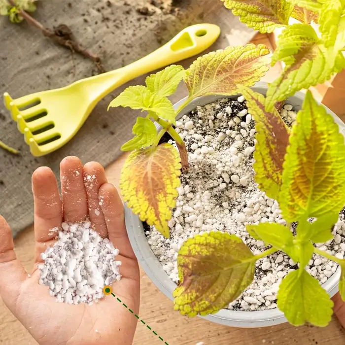Perlite de jardinage, perlite organique pour plantes, substrat universel pour plantes succulentes et orchidées, adapté pour la couche de surface des pots