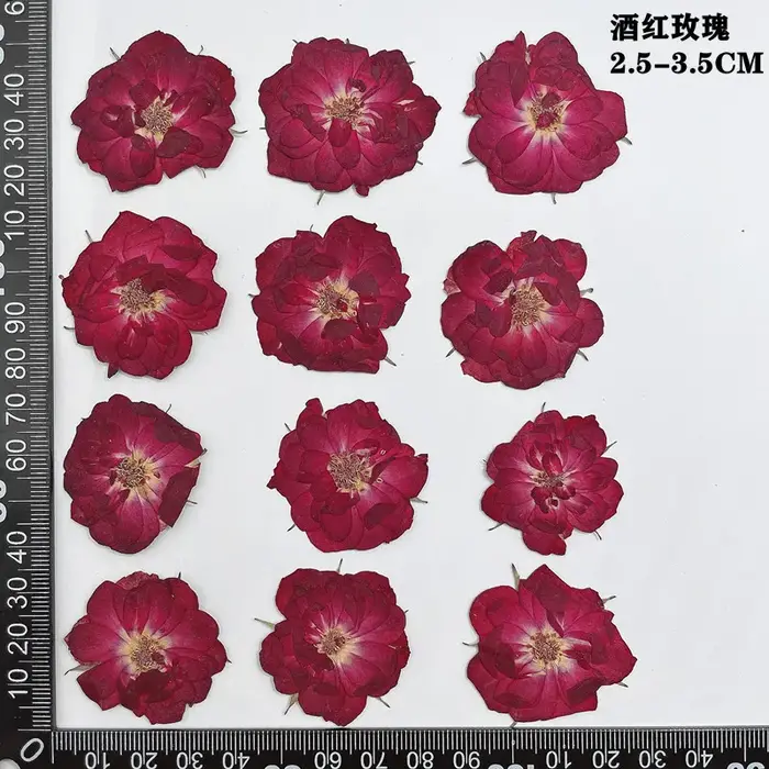 60 pièces pressées séchées rouge jaune Rose Rose fleur plantes herbier pour bijoux signet Scrapbook