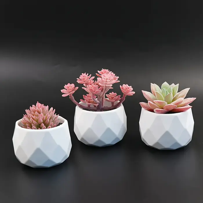 5 mini-plantes succulentes artificielles réalistes avec pot