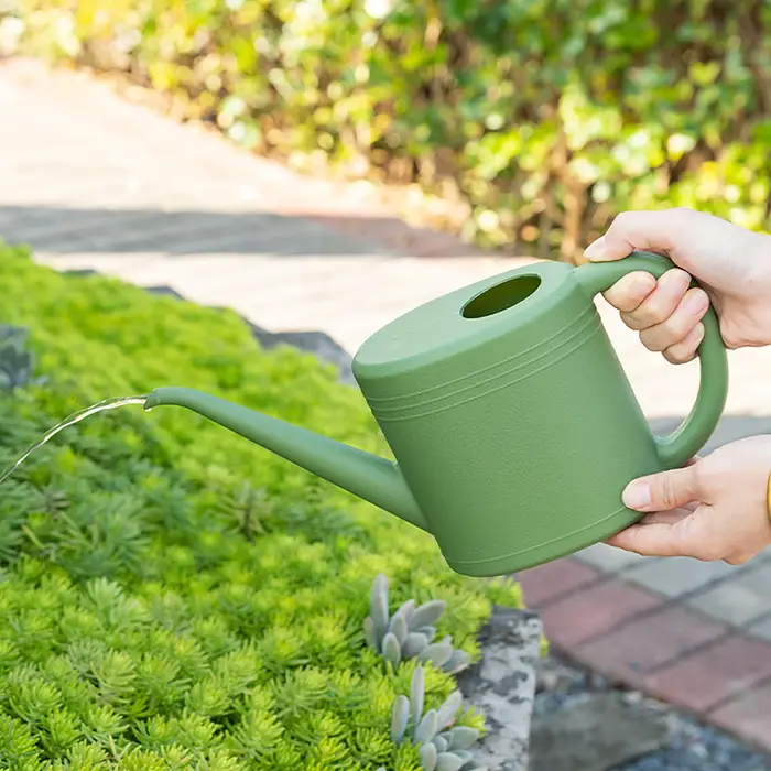 Arrosoir à bec Long 1L/2L, bouilloire d'arrosage pour jardin, balcon, Patio, plantes à fleurs, légumes, bonsaï, outil de jardinage domestique