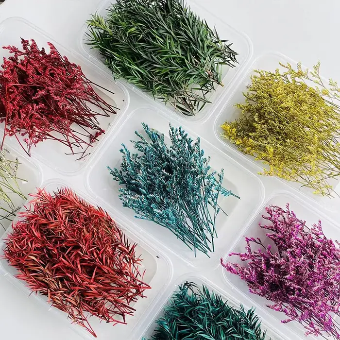 Kit de loisirs créatifs avec fleurs séchées, matériel floral décoratif pour l'ornementation artistique de la maison