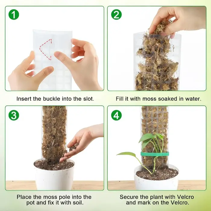 Support en plastique pour plantes grimpantes d'intérieur