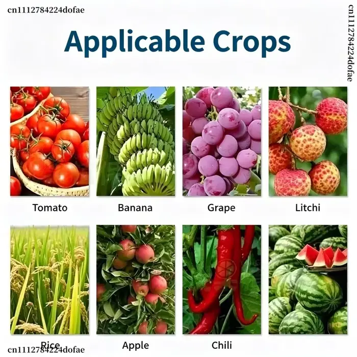 6-BA 6-Benzylaminopurine Cytokinine en poudre, régulateur de croissance des plantes, favorise la germination et la division cellulaire