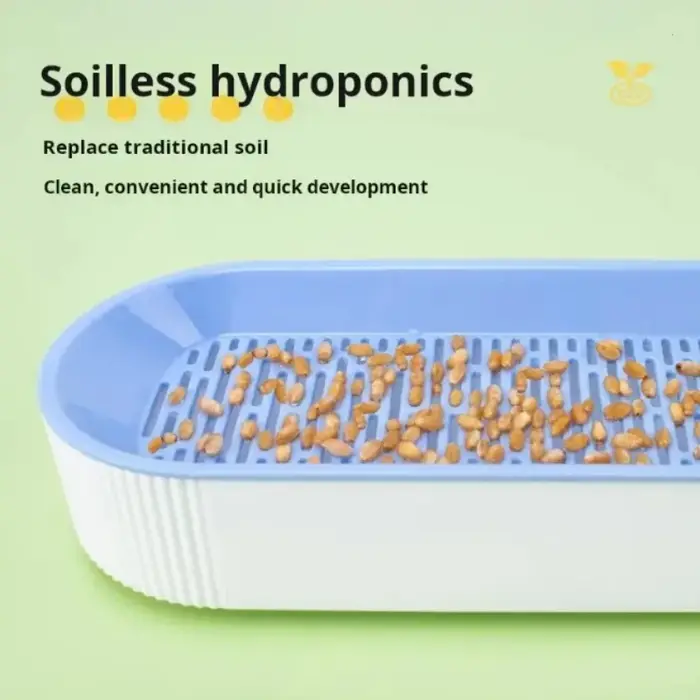 Kit de culture hydroponique d'herbe à chat pour chats