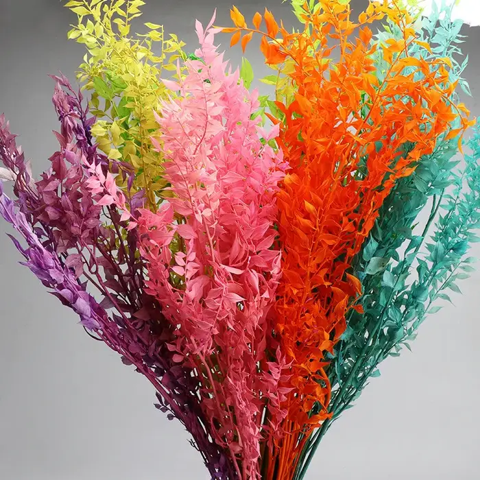 Fleurs séchées naturelles pour la décoration de la maison et du jardin