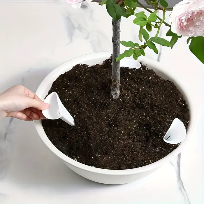 Dispositif d'arrosage respirant pour plantes coniques, 6 pièces, fond de bonsaï de jardin, plante de