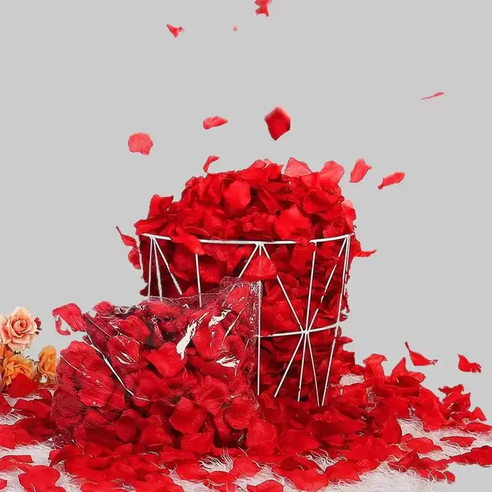 2000 pièces de pétales de Roses en soie