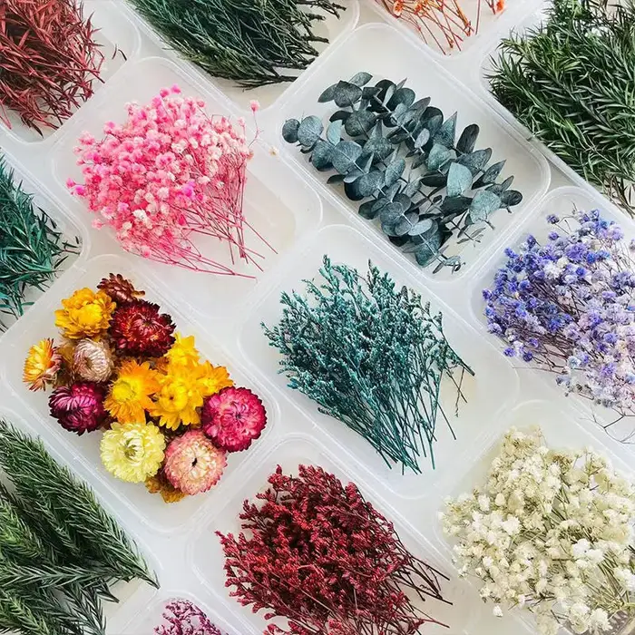 Kit de loisirs créatifs avec fleurs séchées, matériel floral décoratif pour l'ornementation artistique de la maison