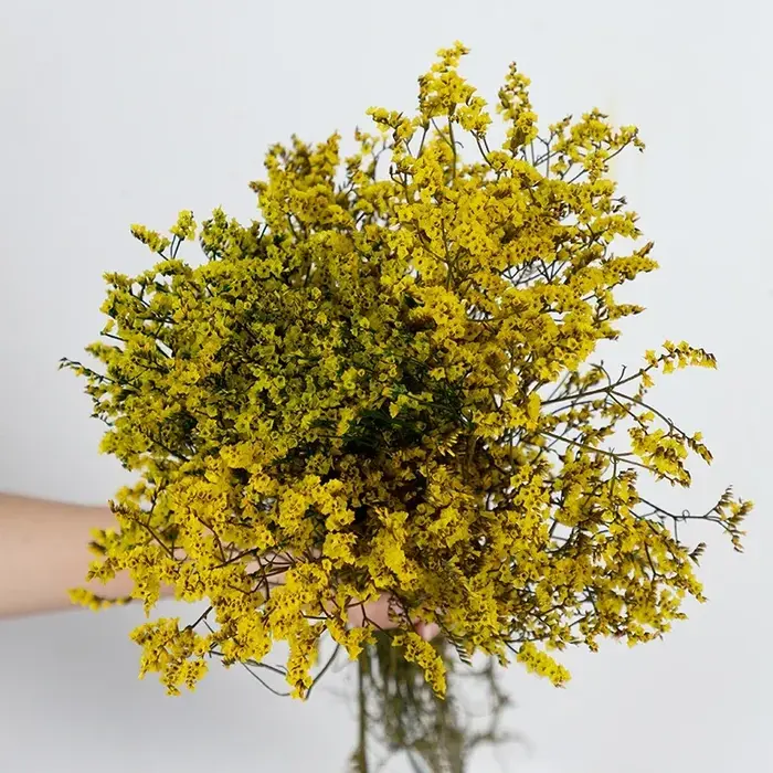 Bouquets d'herbe en cristal naturel de fleurs séchées