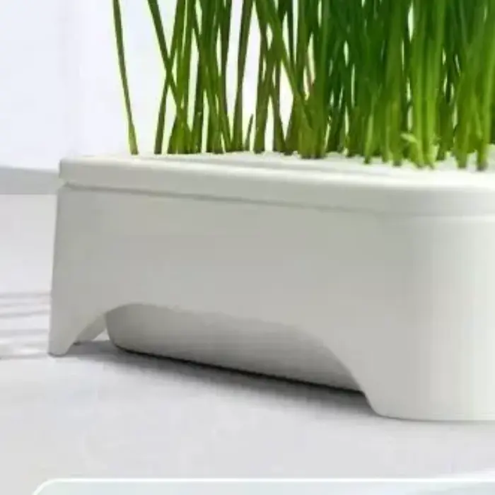 Bac de culture hydroponique pour herbe à chat, pot de semis de blé sans terre, dispositif hydroponiq