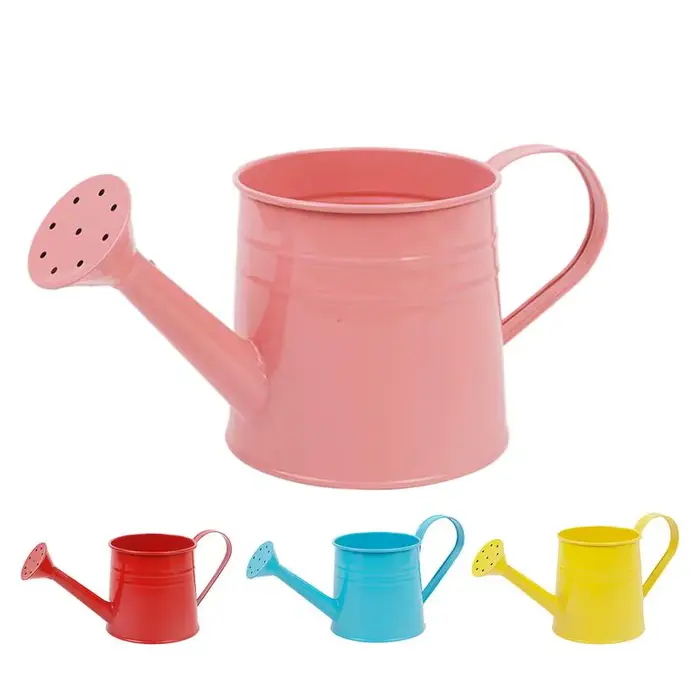 Petit arrosoir pour plantes d'intérieur