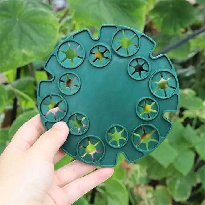 5 disques de fixation pour plantes grimpantes de jardin