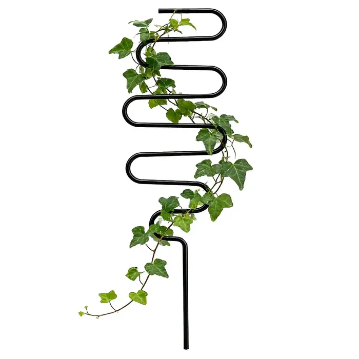 Support de plantes grimpantes