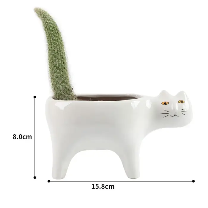 Pot de fleurs en céramique mignon pour balcon, décoration d'intérieur, plantes de cactus, conteneur pour plantes, ornements de table, pot à fleurs