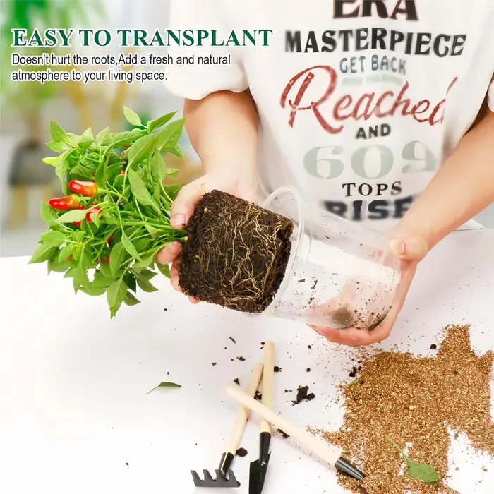 30 paquets de pots de pépinière transparents de 3