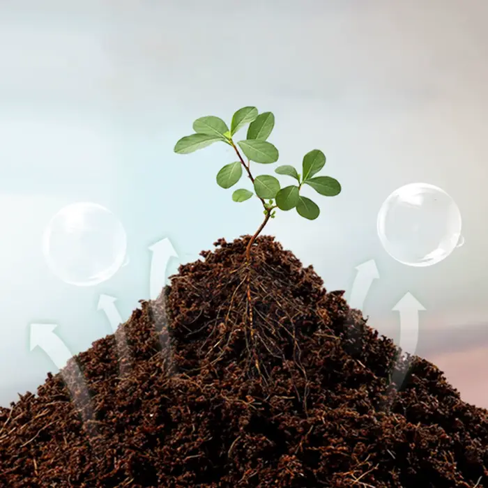 Substrat de terrarium en fibres de coco