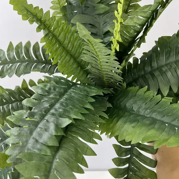 Plante de Fougère Artificielle Réaliste