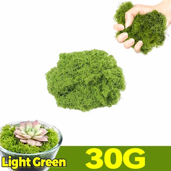 Plantes artificielles en mousse verte 30-300g, mousse éternelle, plante en pot, fausse fleur, décora