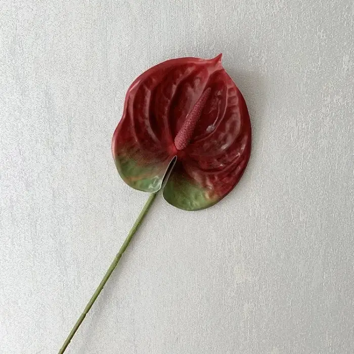 Fleur artificielle impression 3D petite taille simple Anthurium Andraeanum Lind Guanyin Lotus maison