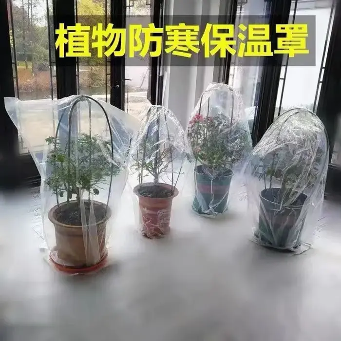 Couvertures pour plantes d'hiver