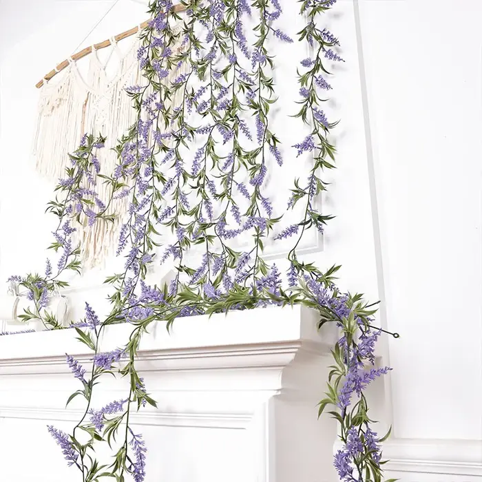 Plante de décoration pour la maison
