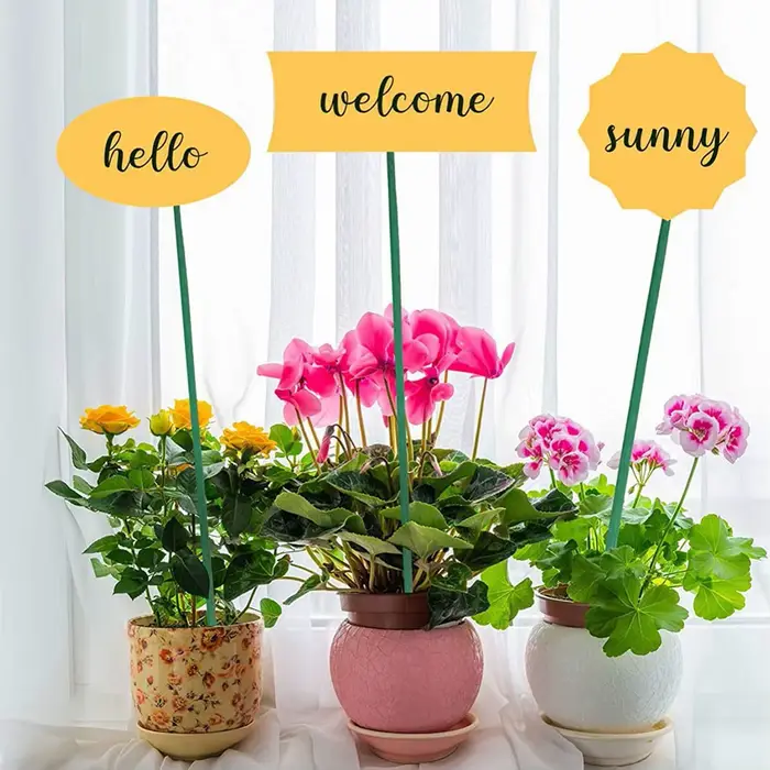 Bâtons de support pour plantes vertes