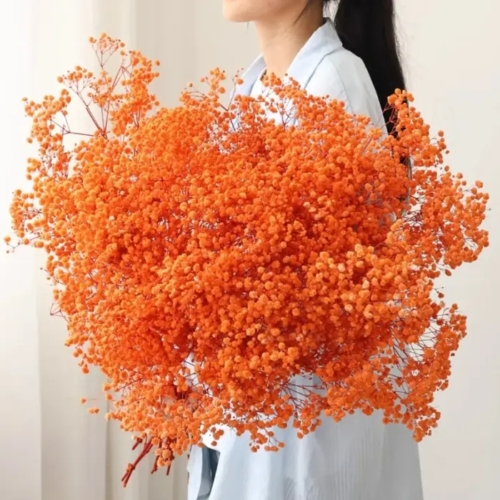 Bouquet de fleurs séchées pour bébé