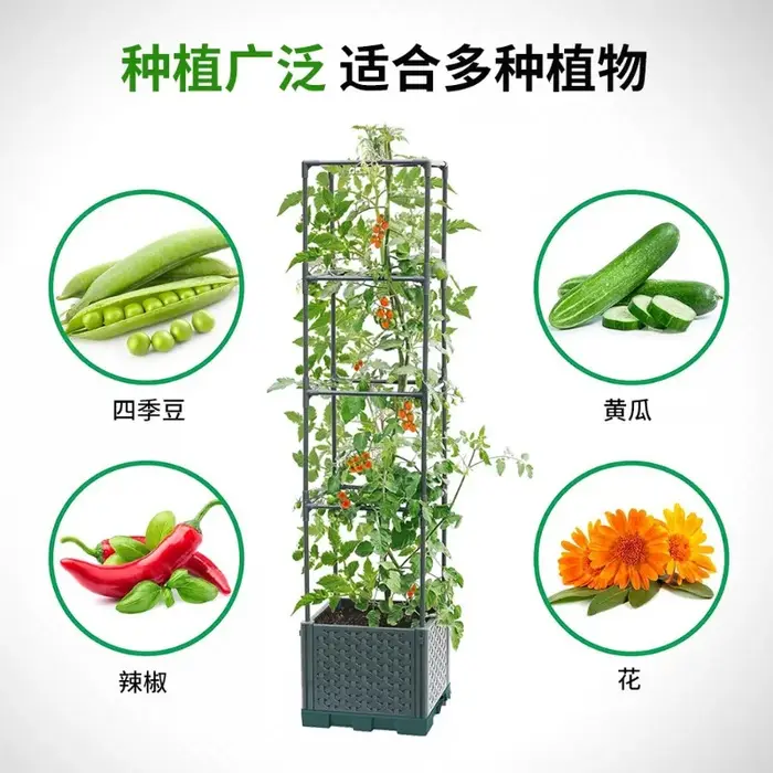 Boîte de plantation carrée pour légumes et fruits