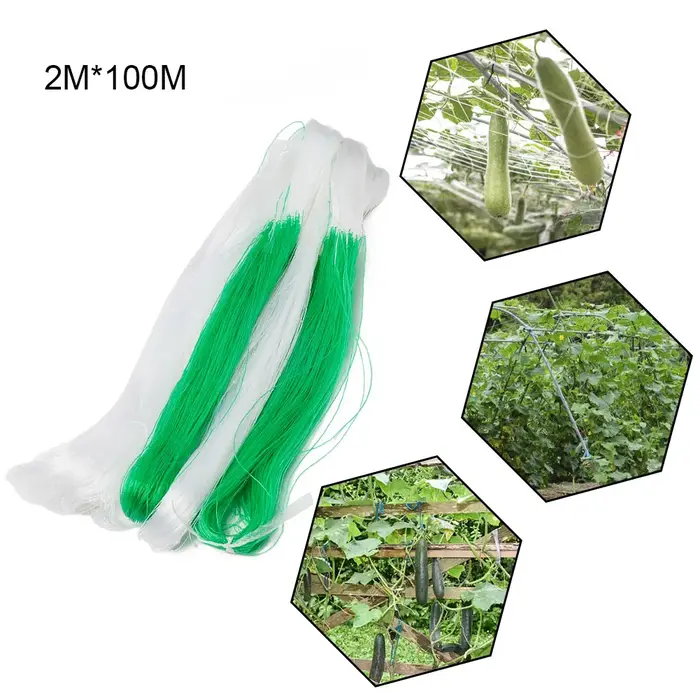 Filet de soutien pour plantes grimpantes 2M x 100M pour concombres, haricots, tomates et plantes à f