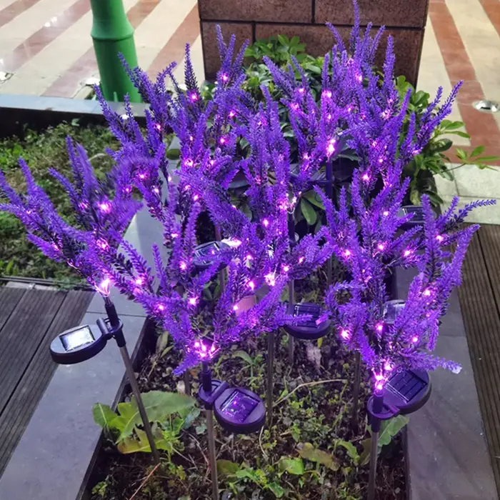 Décoration de jardin, pelouse