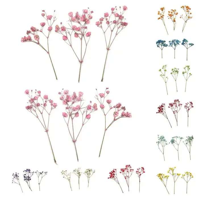Charmants Bouquets de fleurs séchées portables