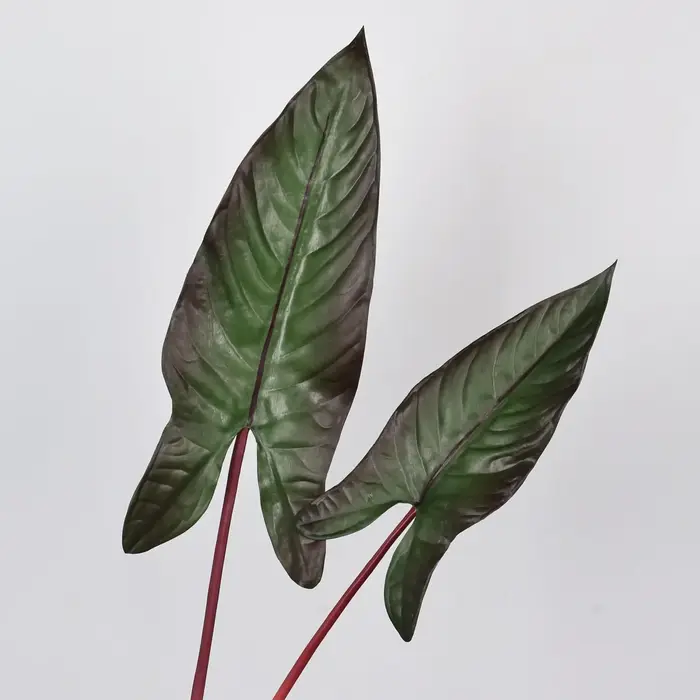 Feuille d'alocasie artificielle de 31 pouces