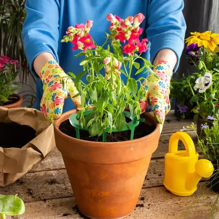 Anneaux d'eau pour plantes