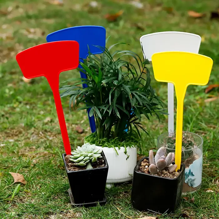 Étiquettes de plantes 30 pièces, signalisation horticole, panneaux d'enregistrement de noms de fleurs et de plantes vertes, signalisation en plastique étanche