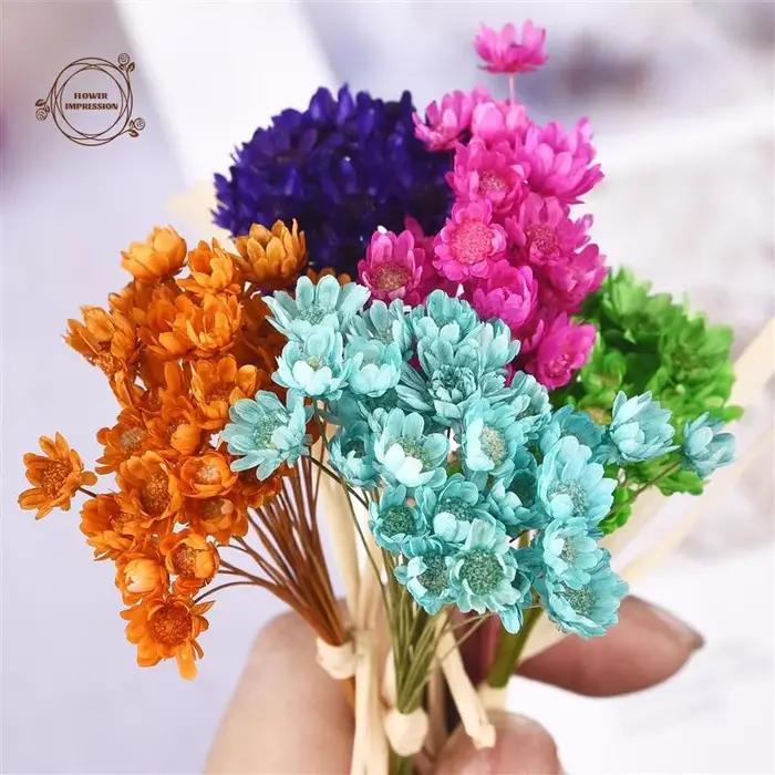 50pcs petite étoile marguerite fleurs séchées décor de mariage