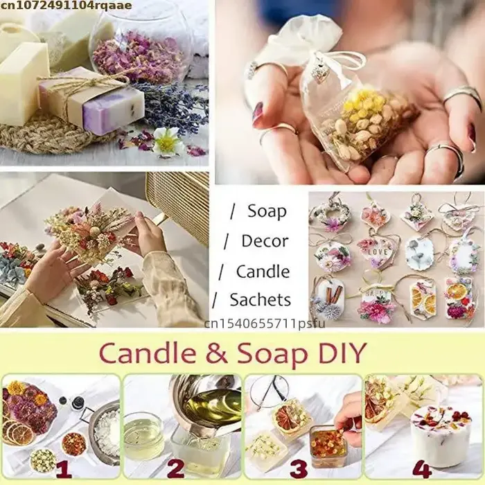 Fleurs séchées de Gomphrena naturelles rouge et violet – Décor de haute qualité pour la fabrication de savon