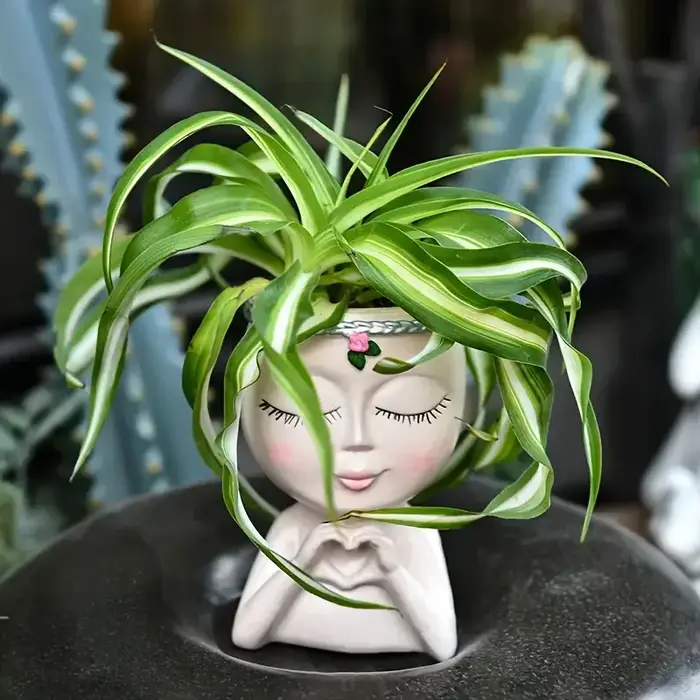 Pot de fleurs en résine en forme de tête de femme pour plantes succulentes, idéal pour les plantes vertes Chlorophytum, décoration de bureau, balcon et table.