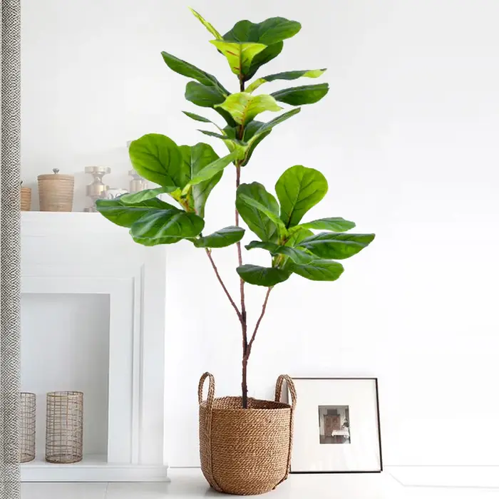 Ficus lyrata artificiel de 45-135 cm