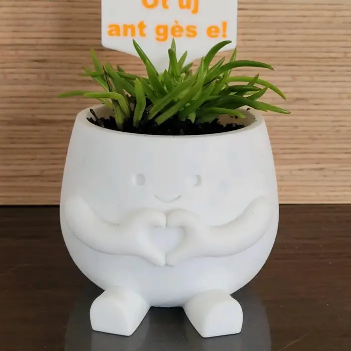 Pot de fleurs imprimé en 3D en forme de mains de cœur