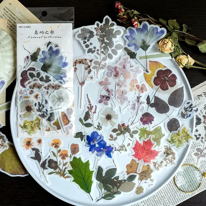 1 paquet/60 autocollants Washi vintage sur le thème de la nature et des plantes