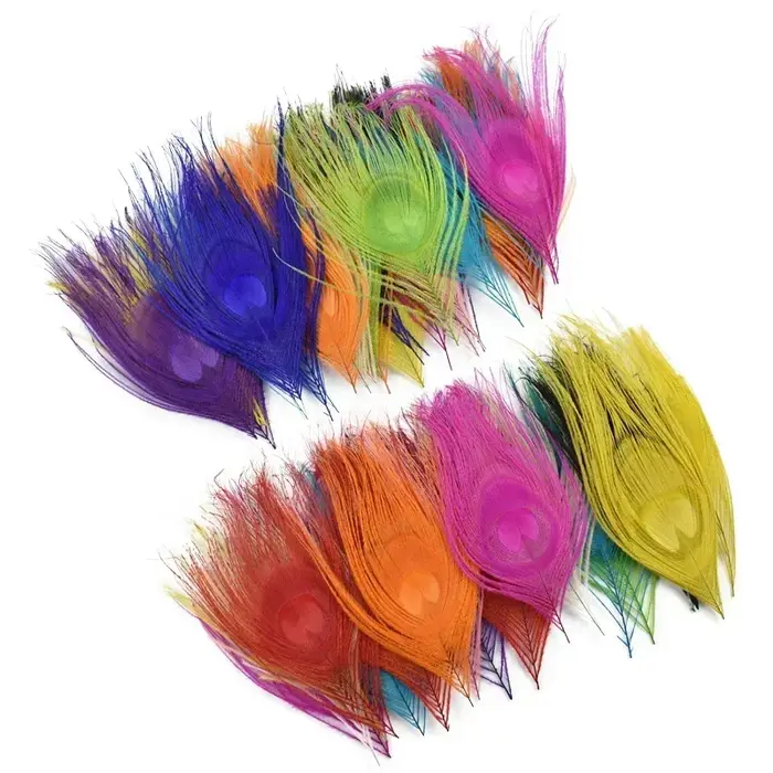 Plumes de paon colorées